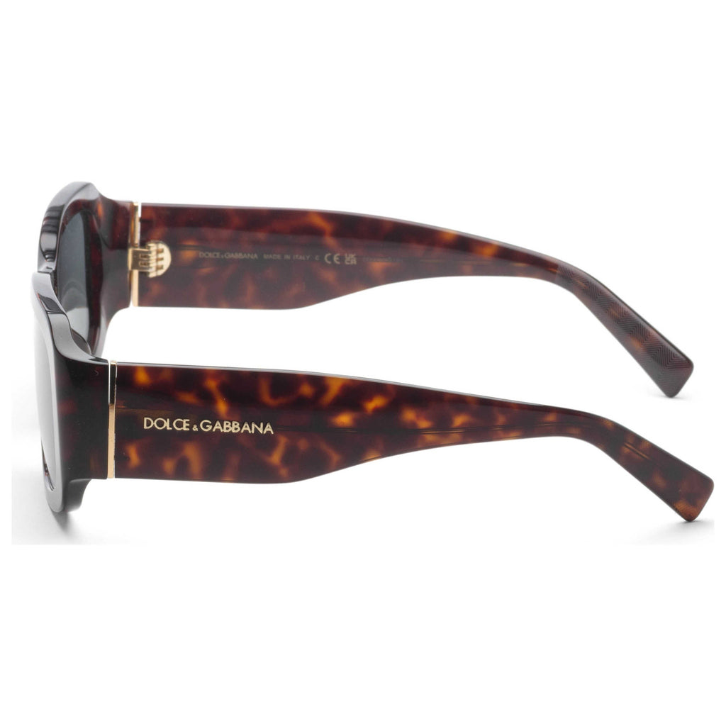 Dolce & Gabbana Women's Sunglasses DG4503-502-87-70