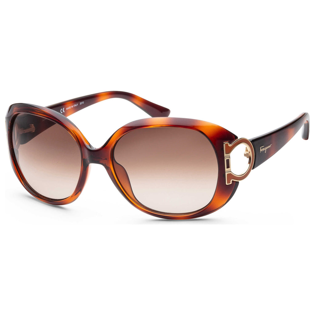 Ferragamo Fashion Women's Sunglasses SF668S-238