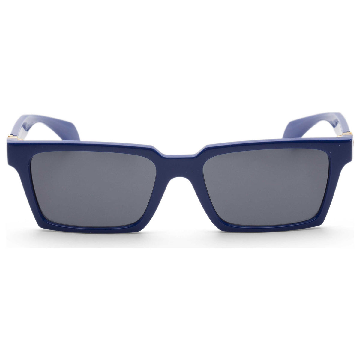 Versace Men's Sunglasses VE4490U-545087-55