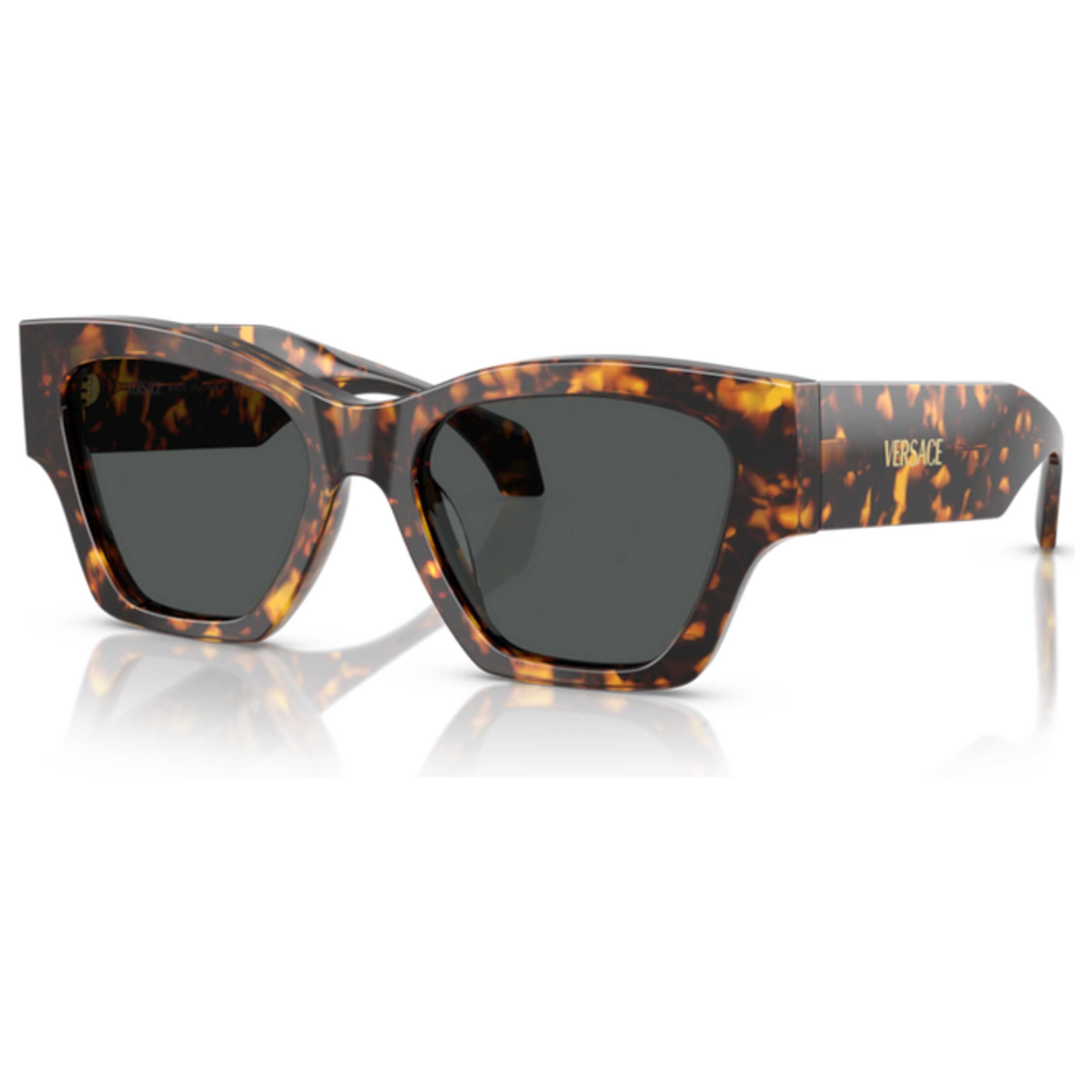 Versace Women's Sunglasses VE4492U-551487-53