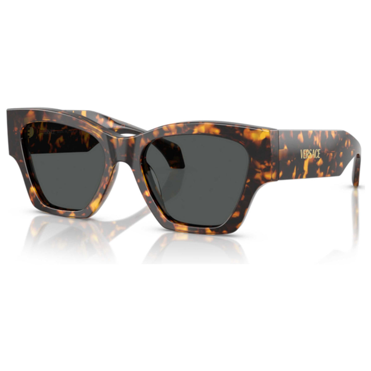 Versace Women's Sunglasses VE4492U-551487-53