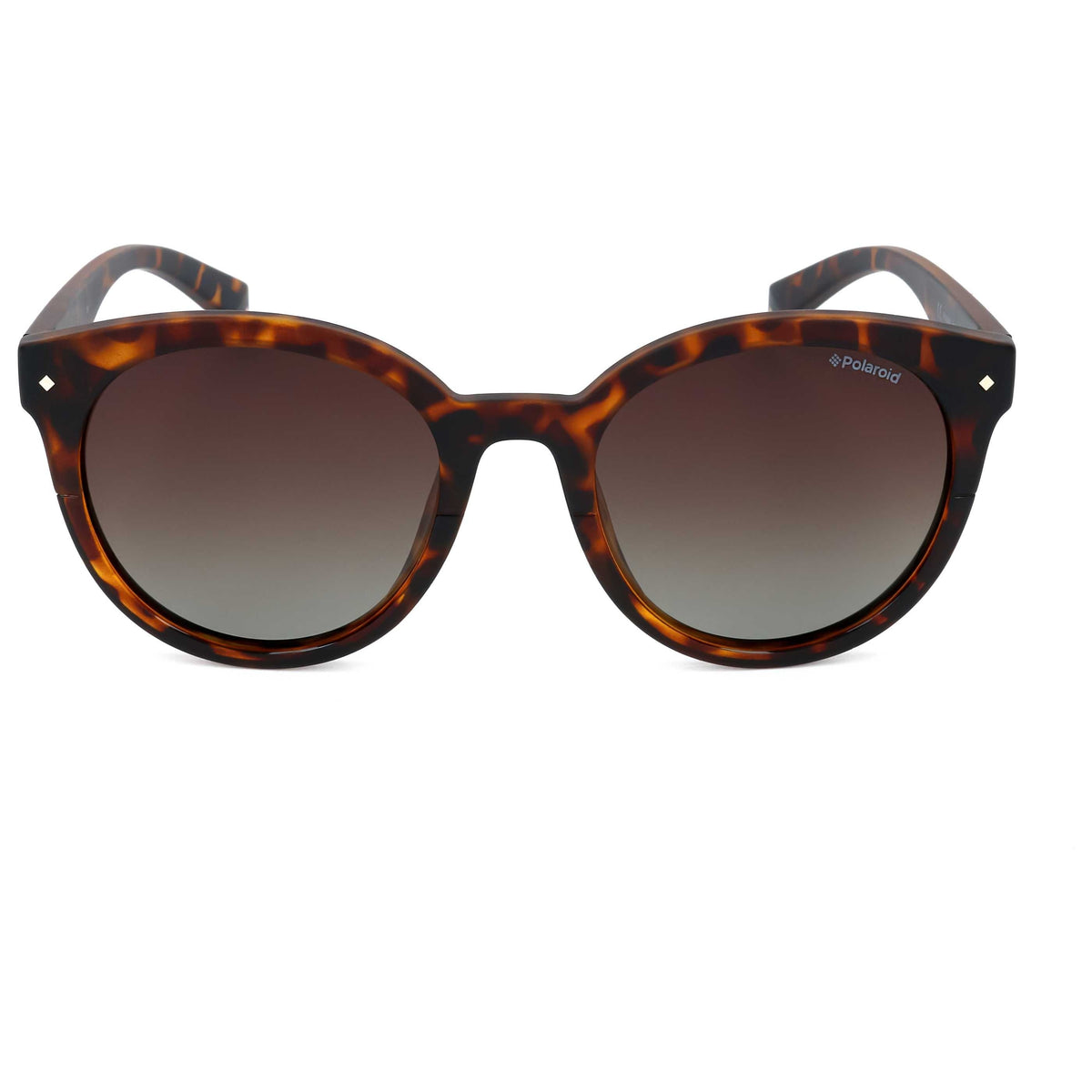 Polaroid Women's Sunglasses PLD6043-S-086-51