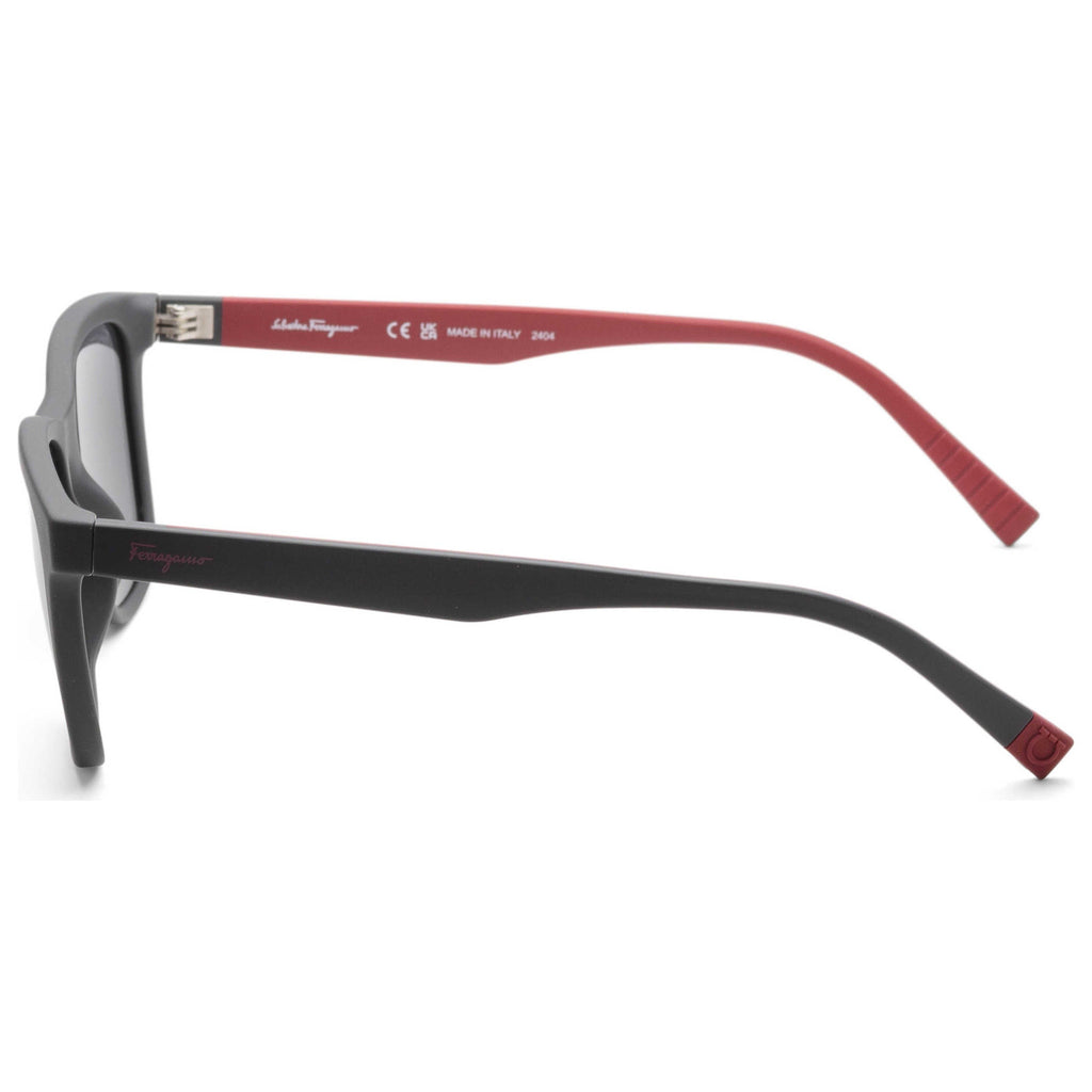 Ferragamo Fashion Men's Sunglasses SF998S-038