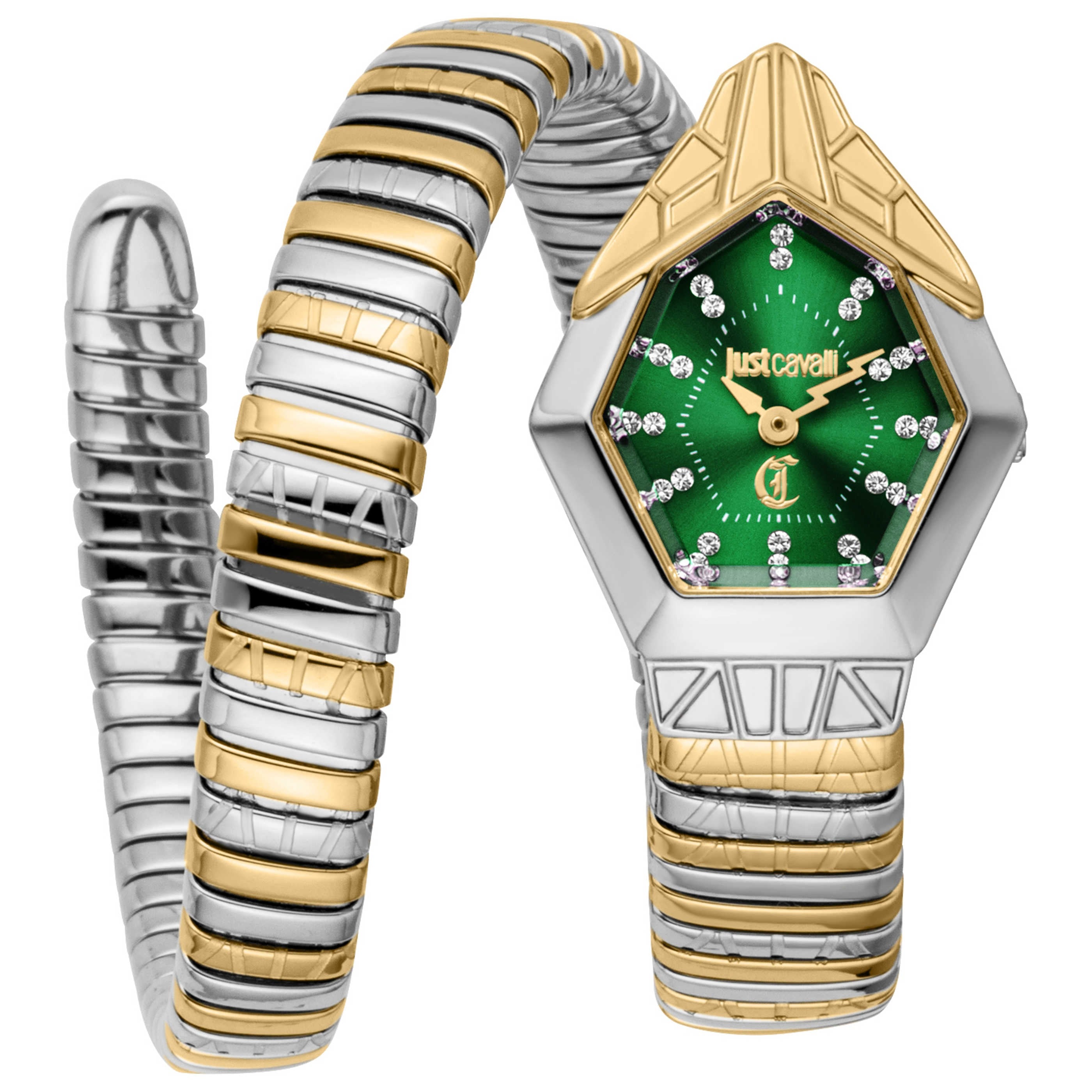 Just Cavalli Women's Watch JC1L358M0075