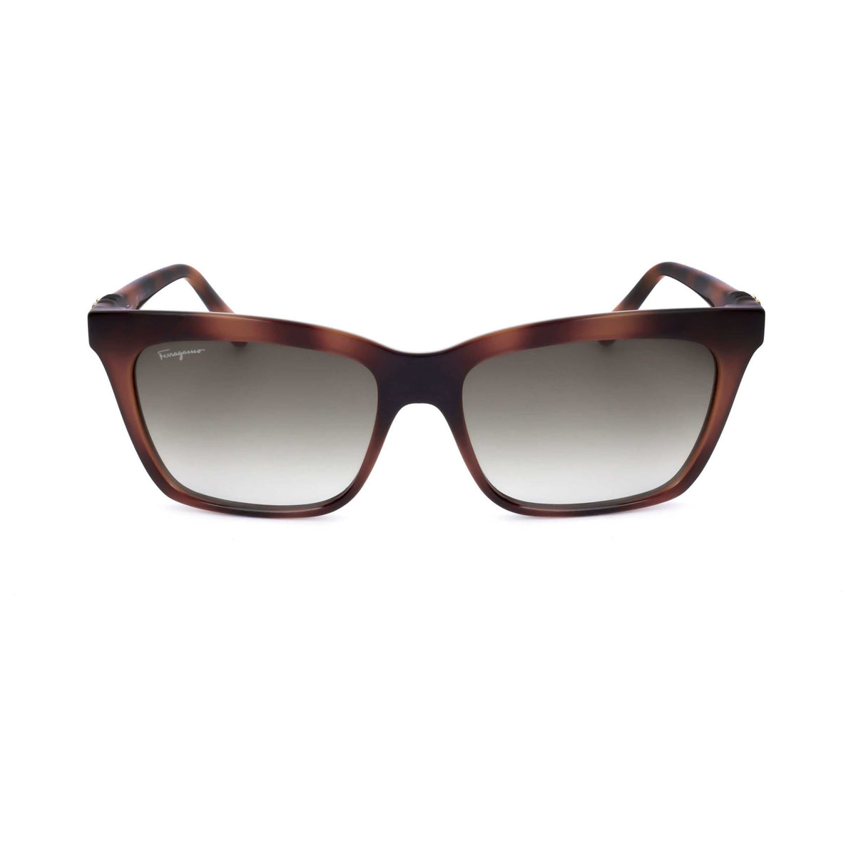 Ferragamo Fashion Women's Sunglasses SF1027S-214