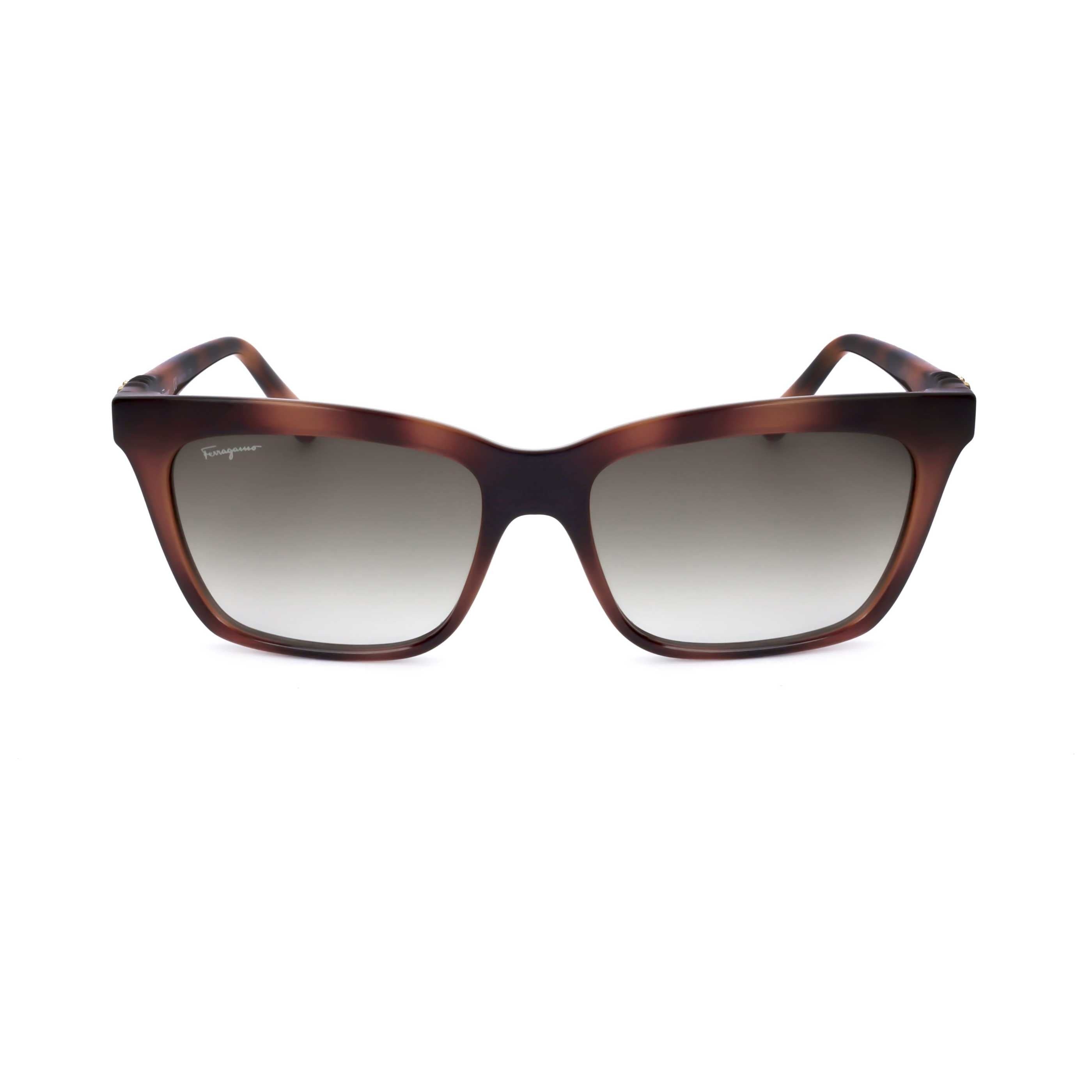 Ferragamo Fashion Women's Sunglasses SF1027S-214
