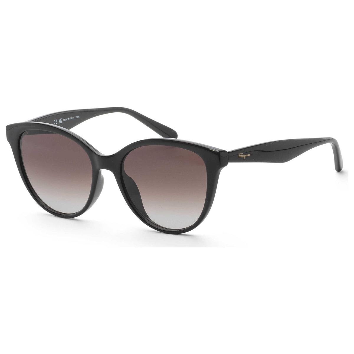 Ferragamo Fashion Women's Sunglasses SF1073S-001