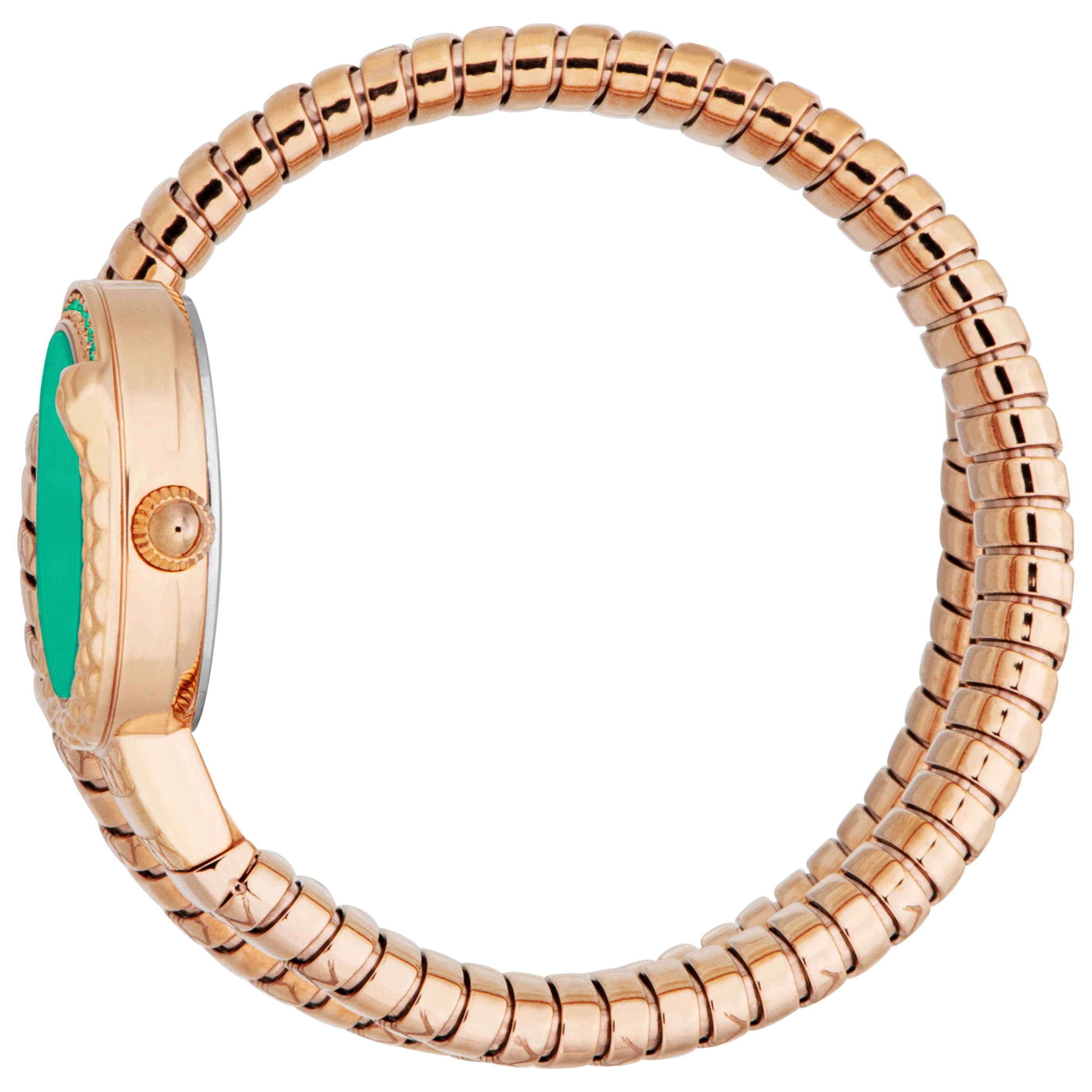 Just Cavalli Women's Watch JC1L301M0055