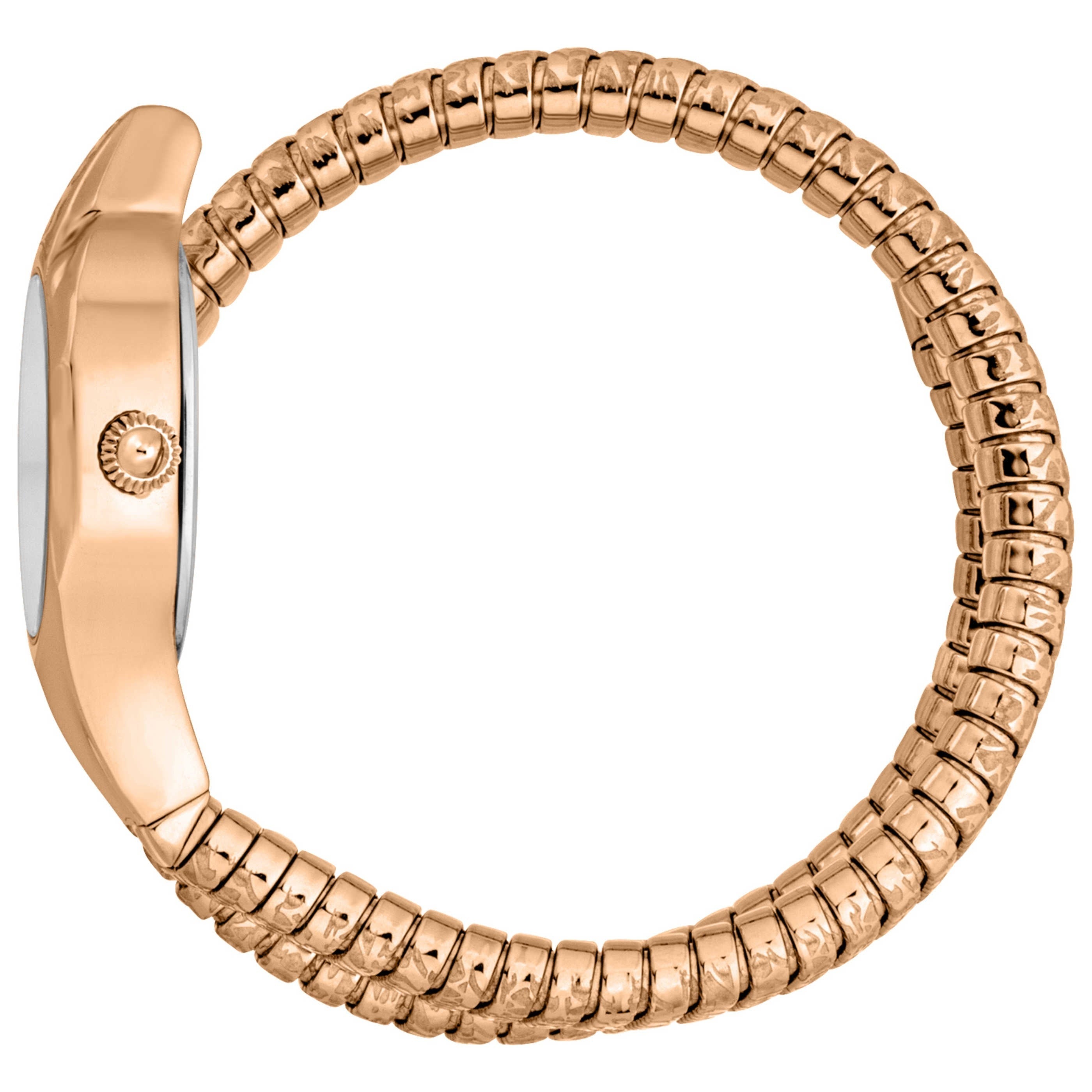 Just Cavalli Women's Watch JC1L270M0045