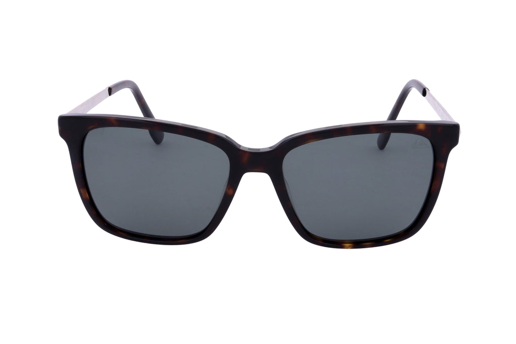 Quiksilver Men's Acetate Sunglasses
