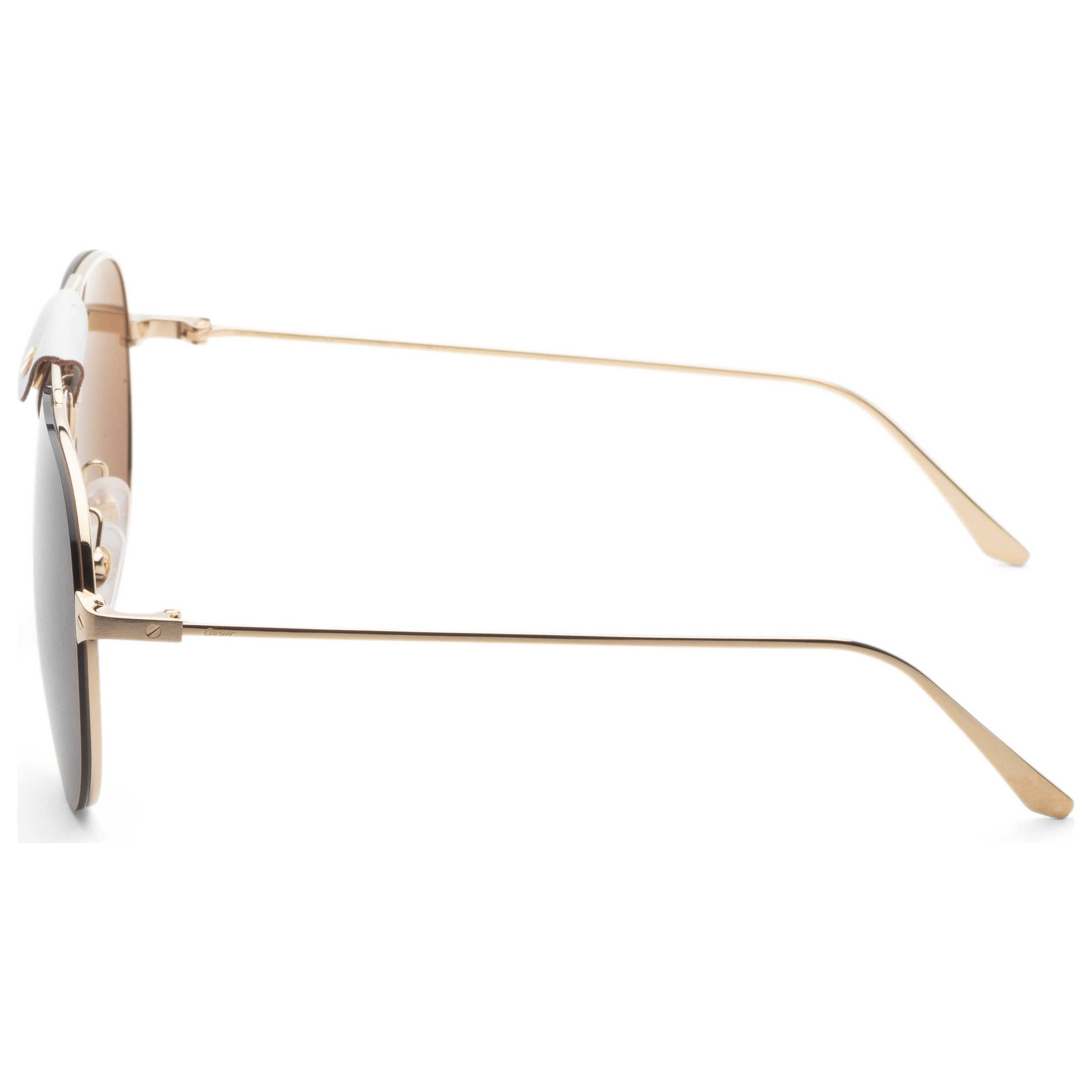 Cartier Unisex Sunglasses CT0166S-010