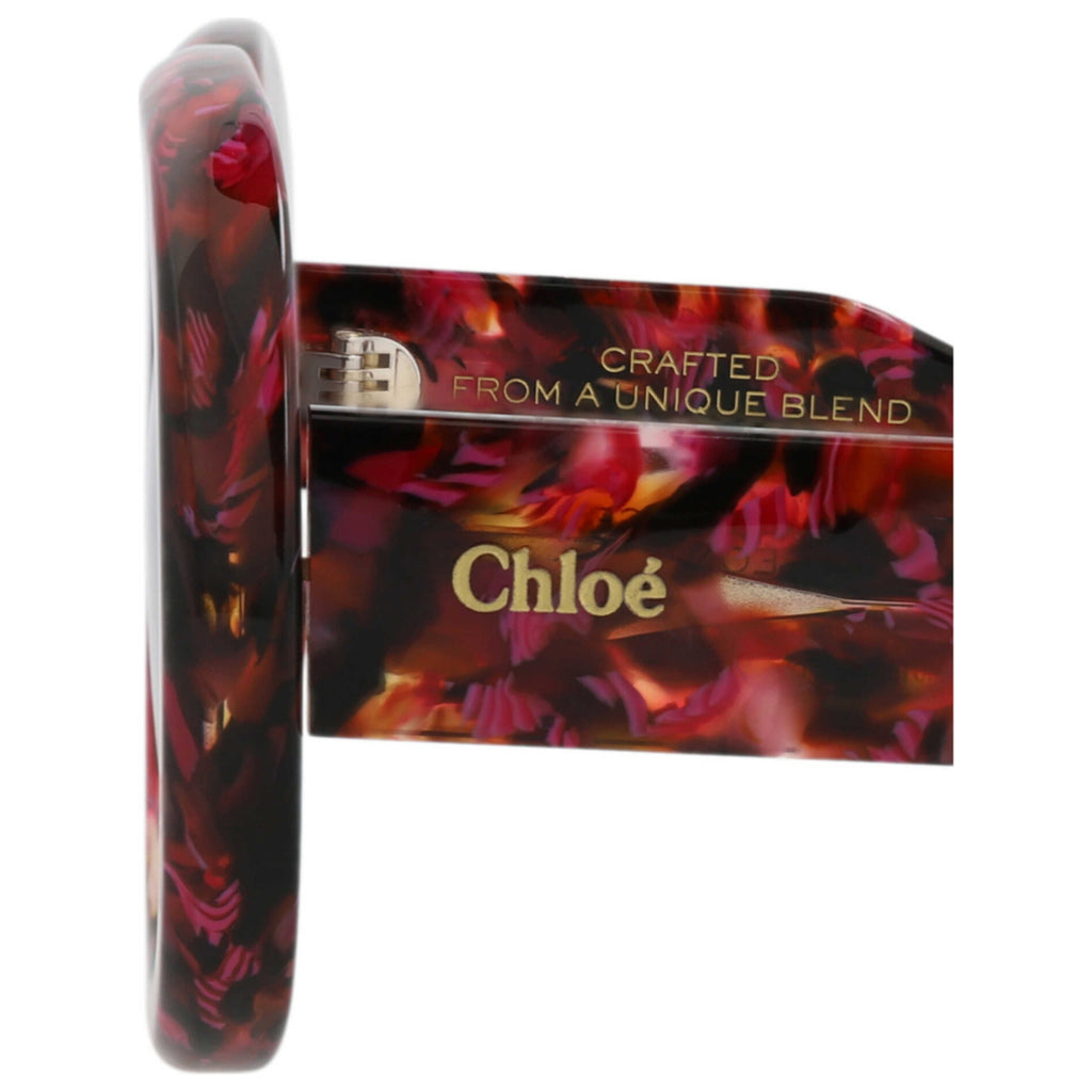 Chloe Women's Sunglasses CH0153S-30014078-013