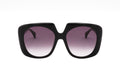 Max Mara Women's Acetate Sunglasses