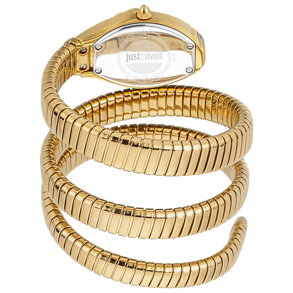 Just Cavalli Women's Watch JC1L185M0015