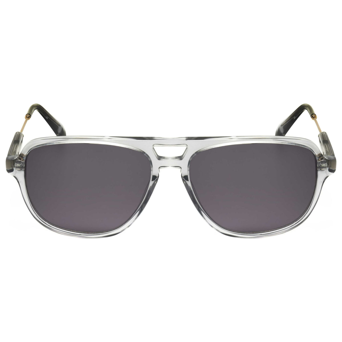Sandro Men's Sunglasses SDS1015-008-55