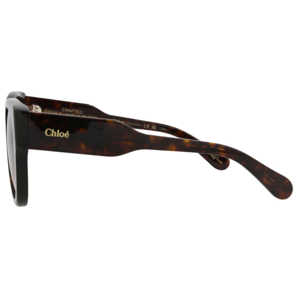 Chloe Women's Sunglasses CH0192S-30014665-002