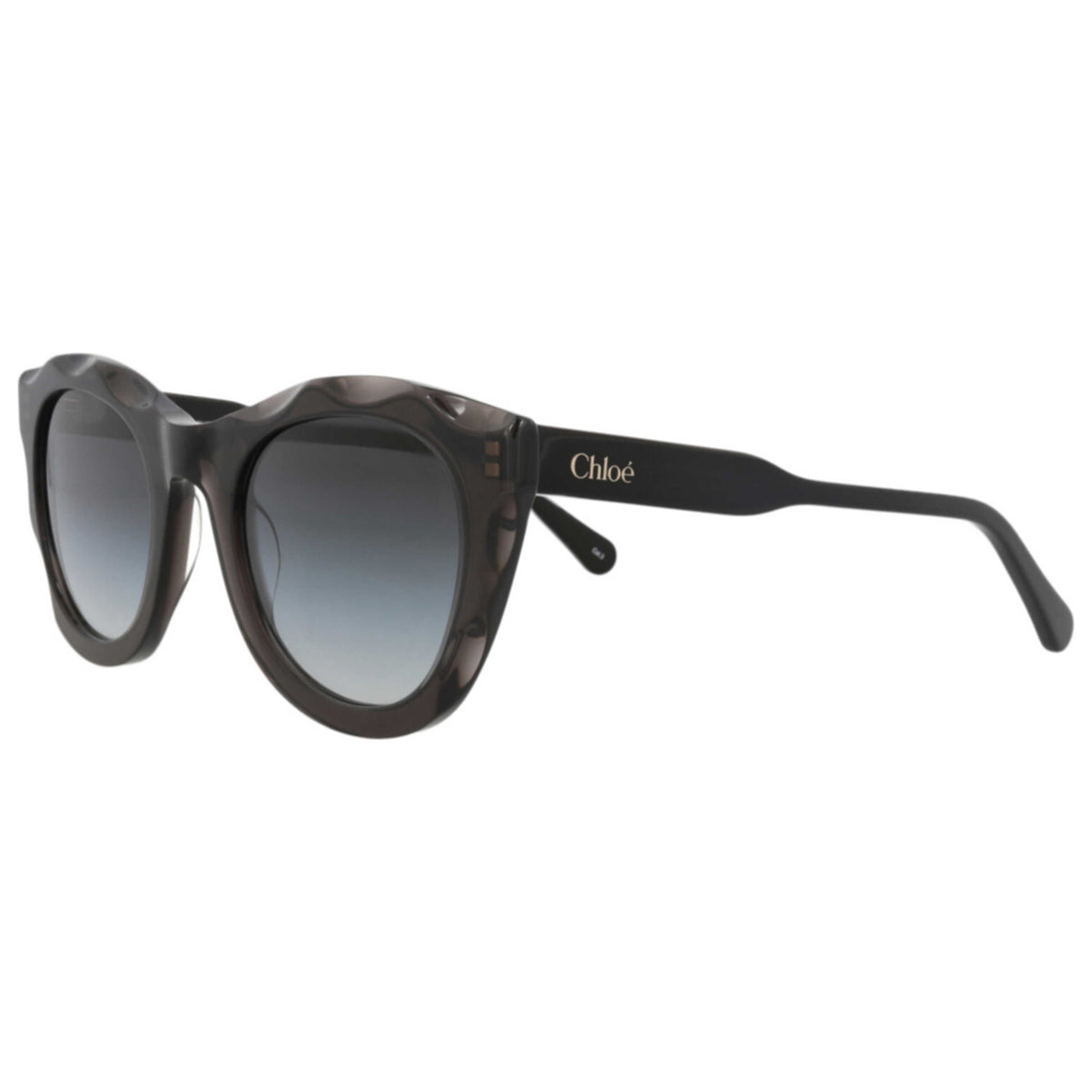 Chloe Women's Sunglasses CH0295S-30016337-001