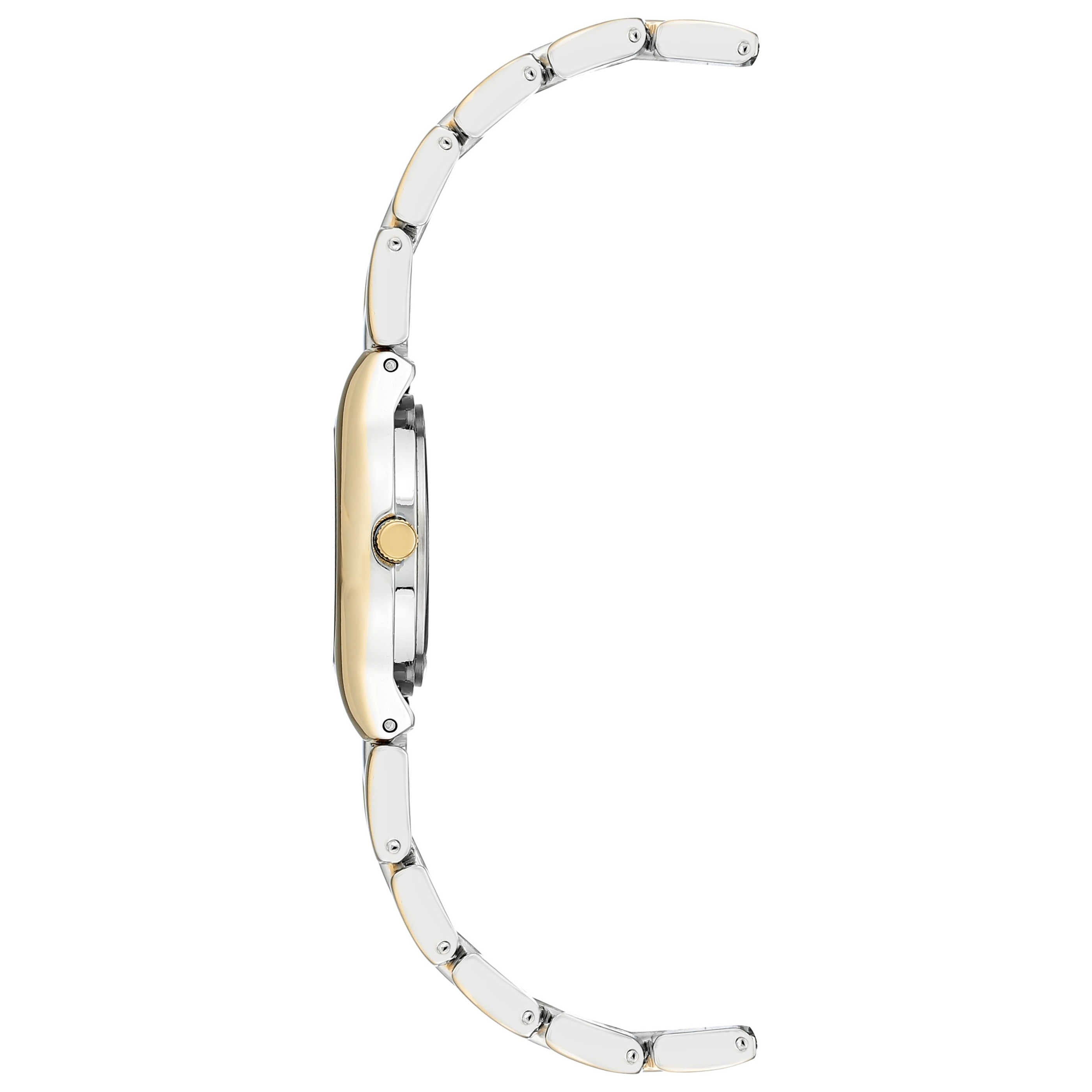 Anne Klein Women's Watch 10-6777SVTT