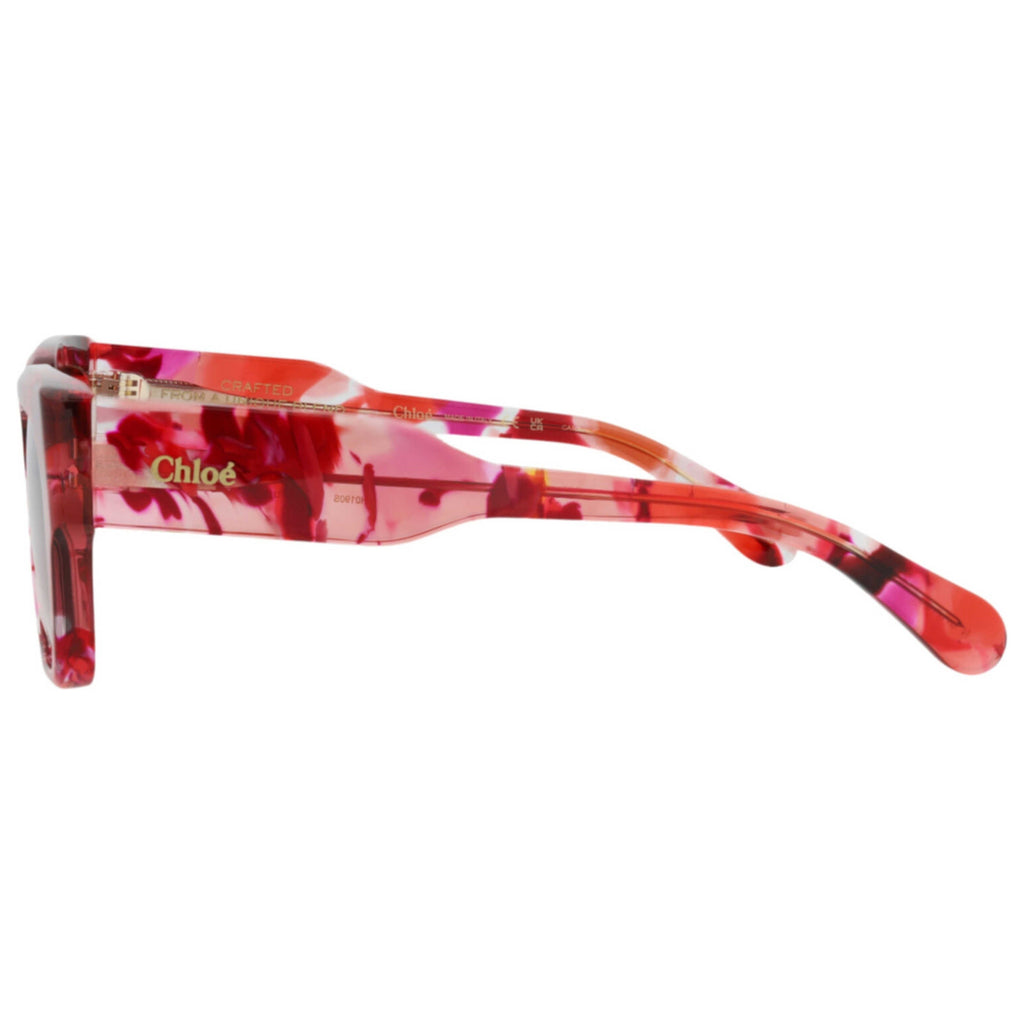 Chloe Women's Sunglasses CH0190S-30014666-012