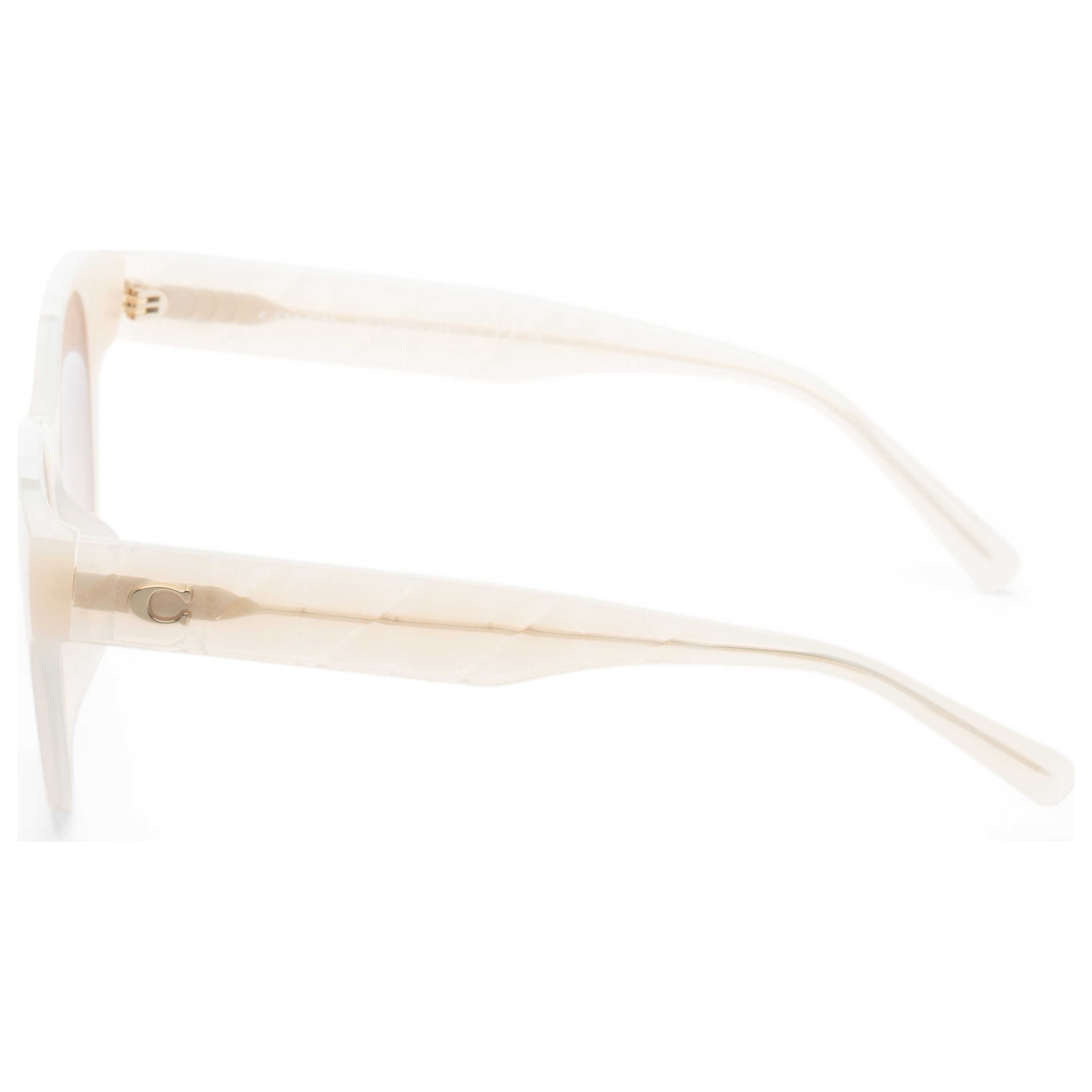 Coach Women's Sunglasses HC8430D-588513-56