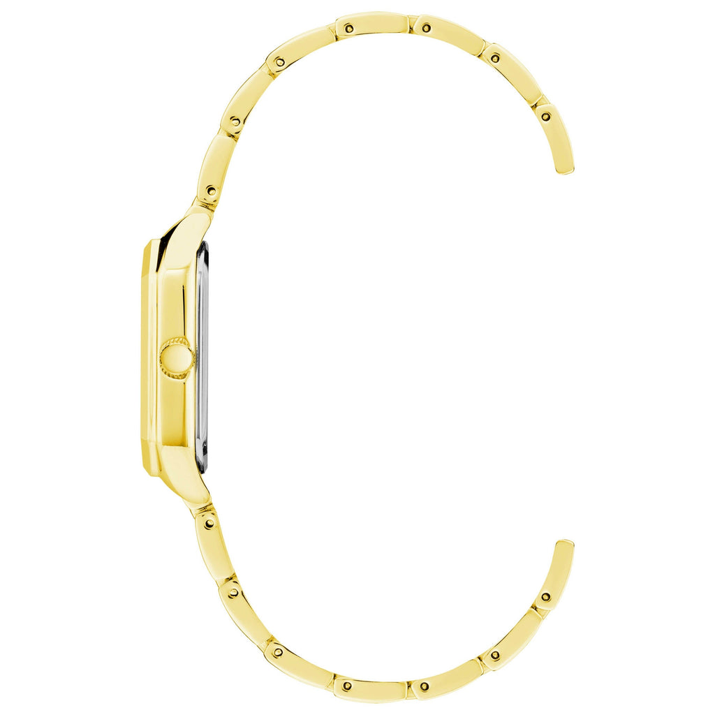 Anne Klein Classic Women's Watch AK-3774CHGB