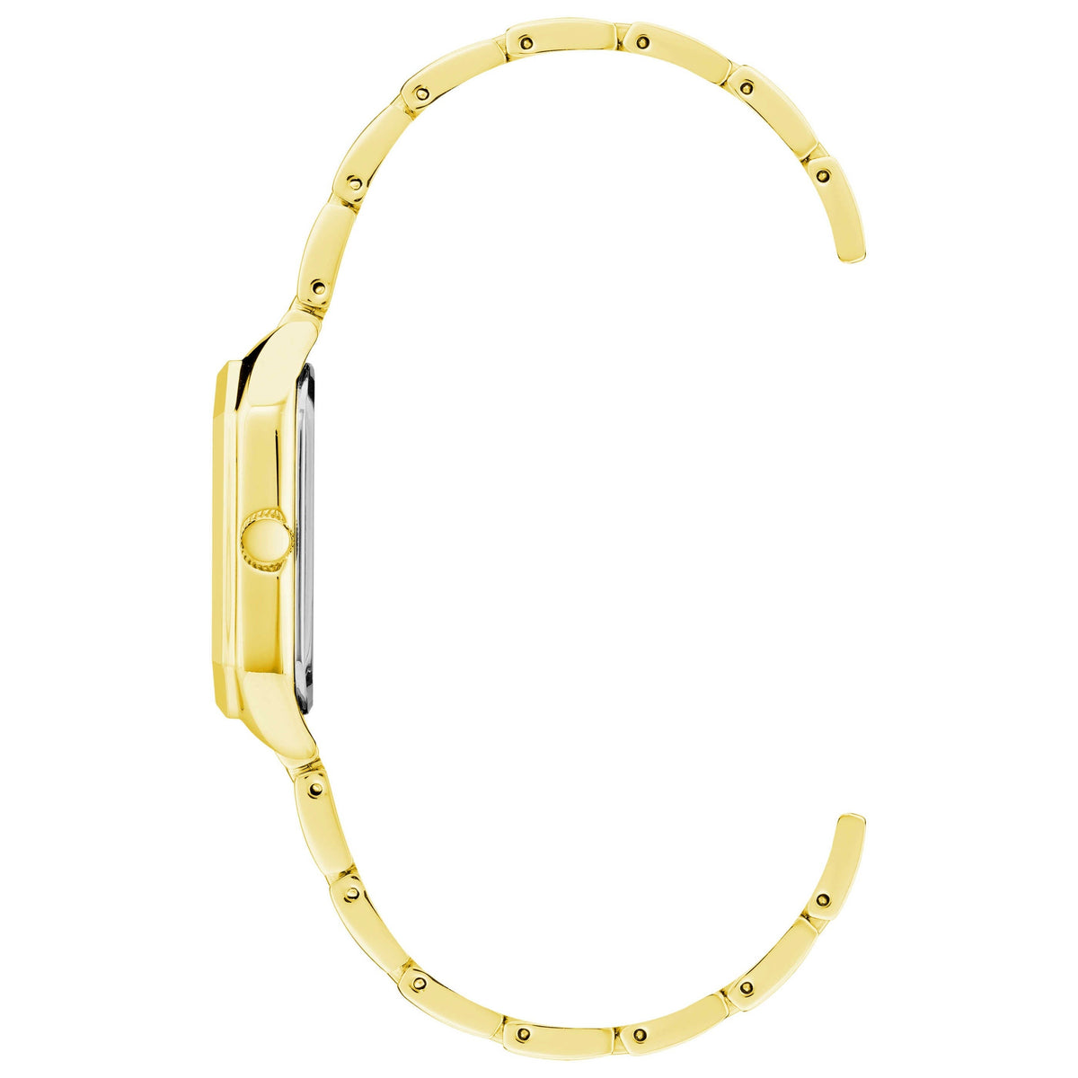 Anne Klein Classic Women's Watch AK-3774CHGB