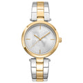 DKNY Logo Women's Watch DK5L067M0075