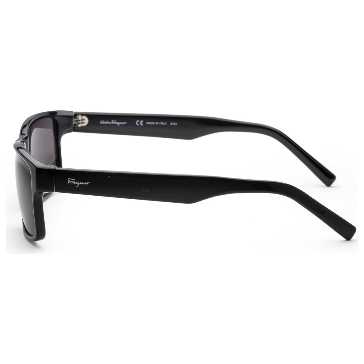 Ferragamo Fashion Women's Sunglasses SF960S-001