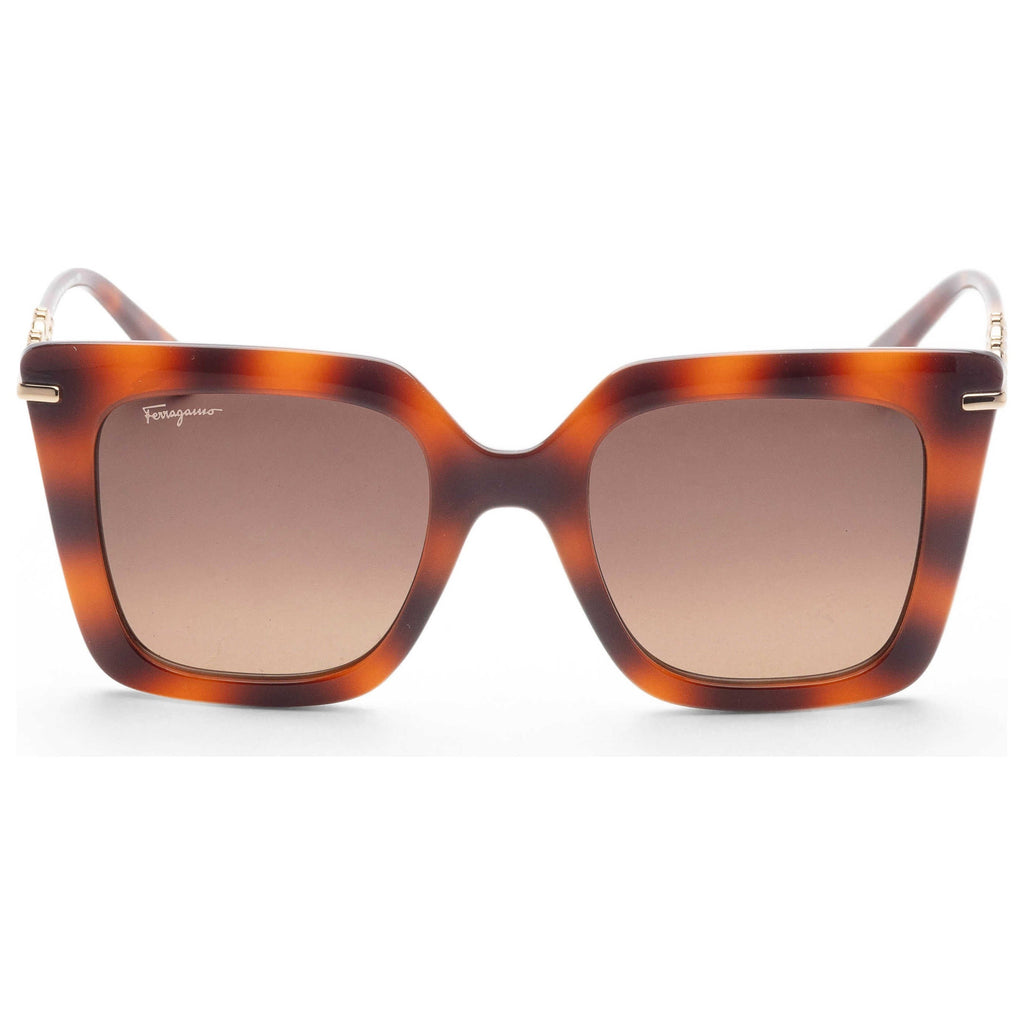 Ferragamo Fashion Women's Sunglasses SF1041S-238
