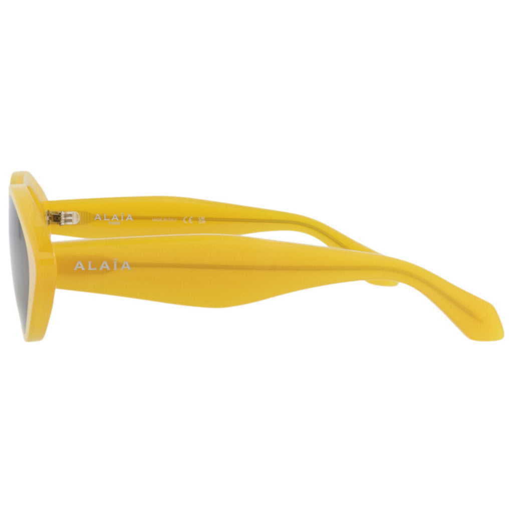 Alaia Women's Sunglasses AA0069S-30014222-003