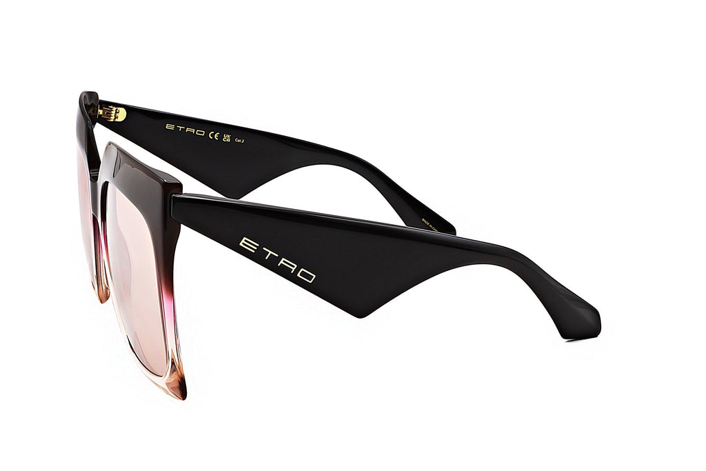Etro Women's Acetate Sunglasses