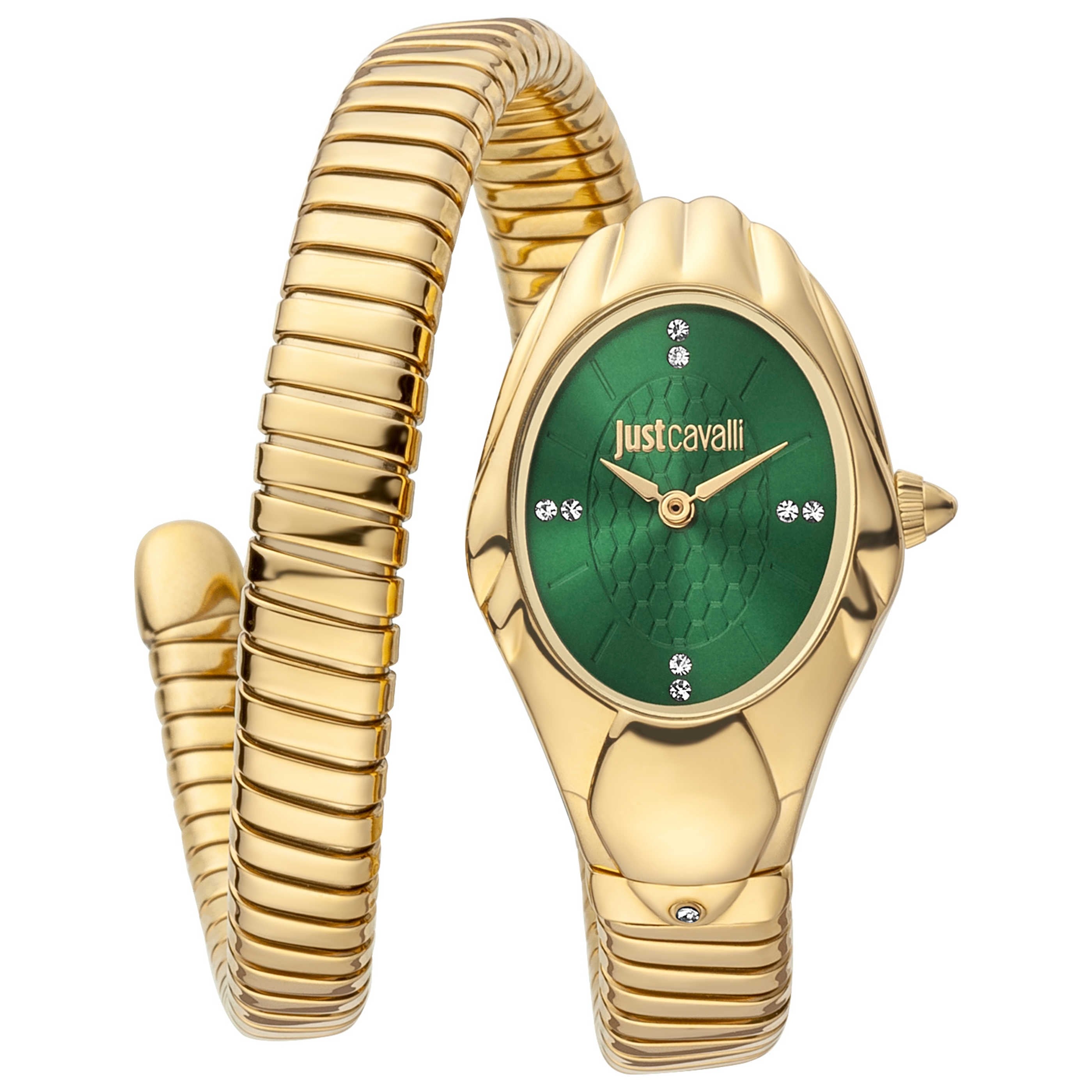 Just Cavalli Women's Watch JC1L182M0015