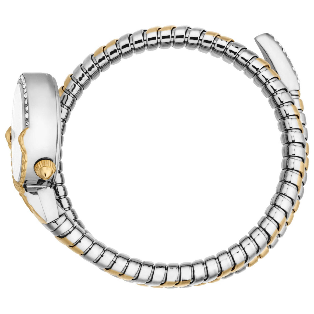 Just Cavalli Women's Watch JC1L350M0055