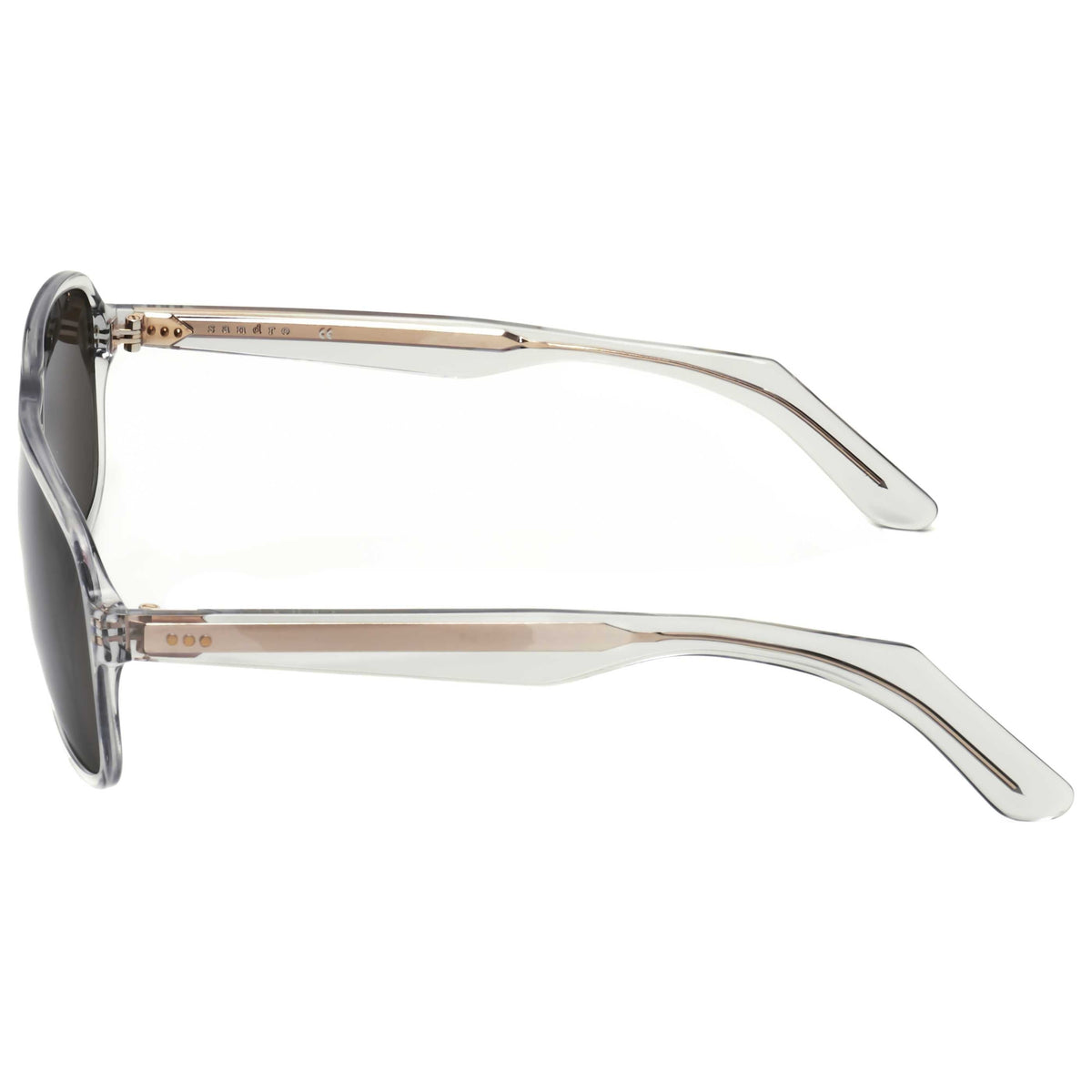 Sandro Men's Sunglasses SDS1001-008-58