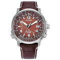 Citizen Promaster Sky Perpetual Men's Watch CB0248-01X