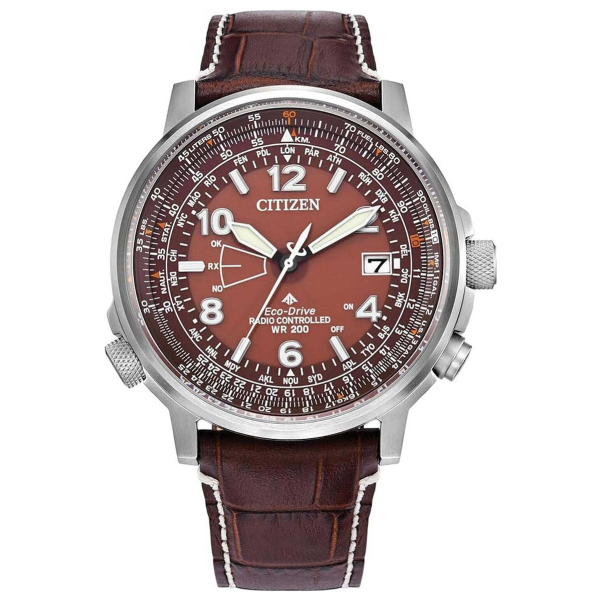 Citizen Promaster Sky Perpetual Men's Watch CB0248-01X