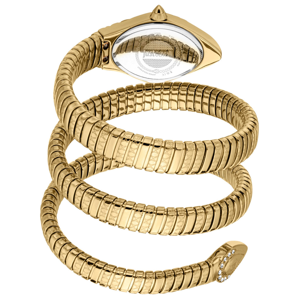 Just Cavalli Women's Watch JC1L374M0025