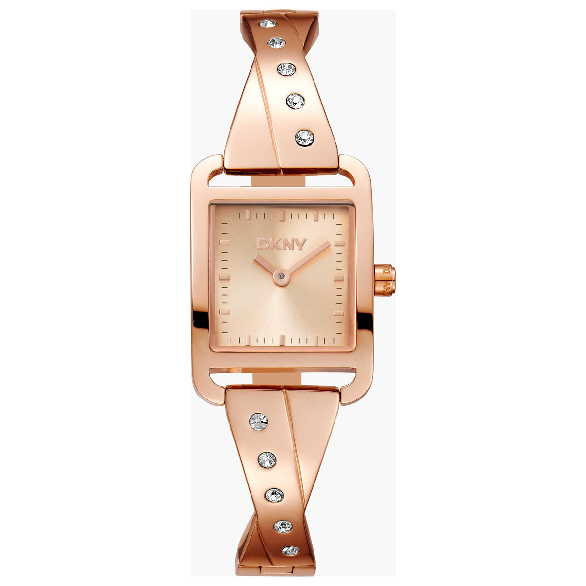 DKNY Iconic Women's Watch DK1L005M0035