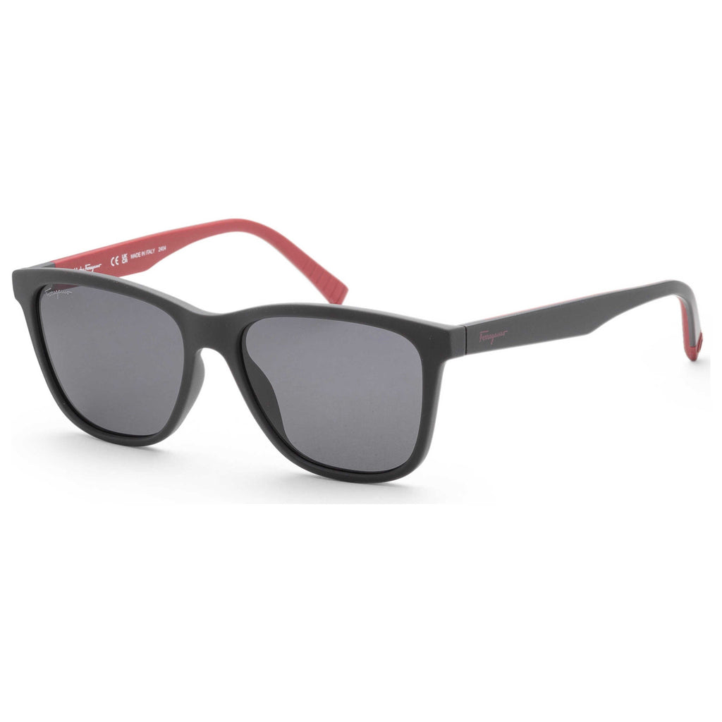 Ferragamo Fashion Men's Sunglasses SF998S-038