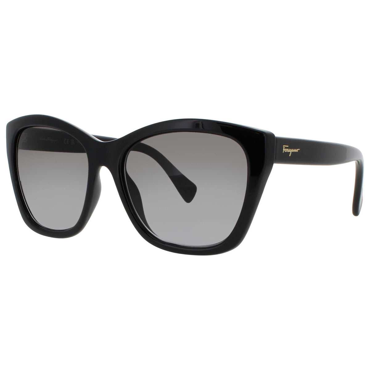 Ferragamo Women's Sunglasses SF-SF957S-001