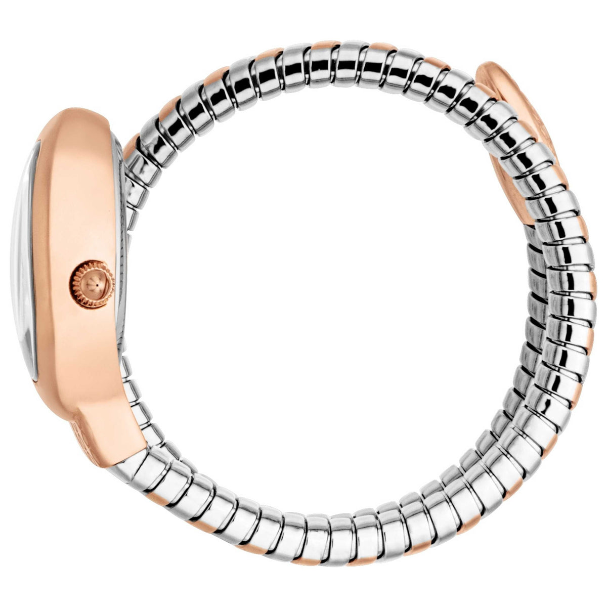 Just Cavalli Women's Watch JC1L371M0075