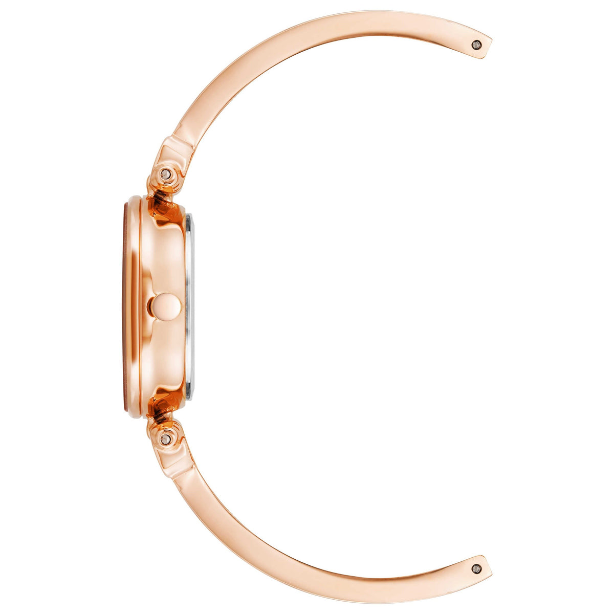 Anne Klein Women's Watch AK-1980WTRG