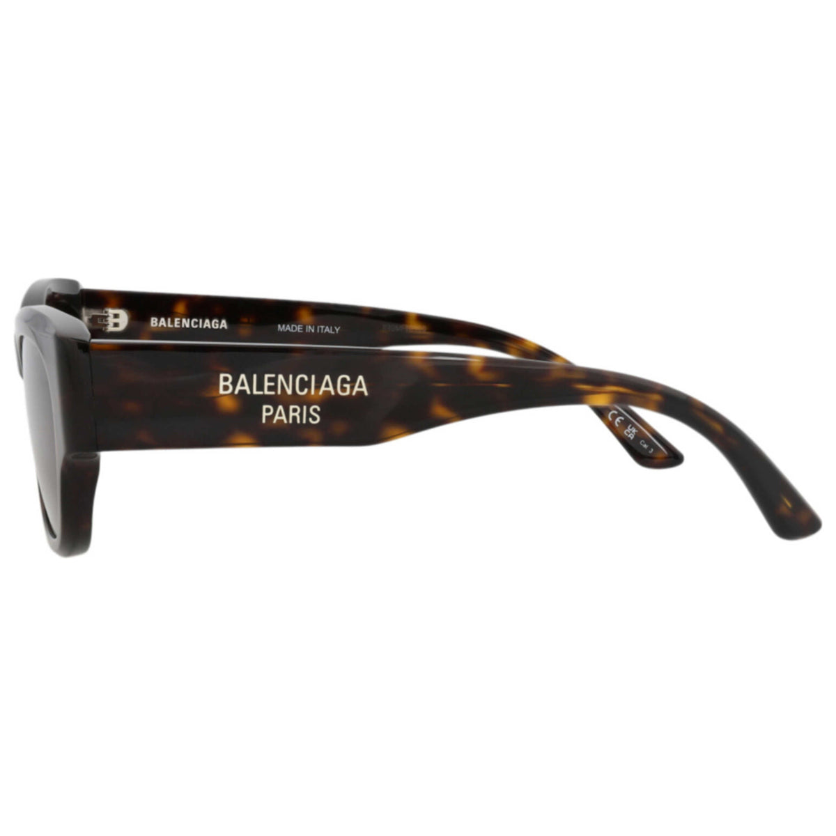 Balenciaga Women's Sunglasses BB0389SK-30016099-002