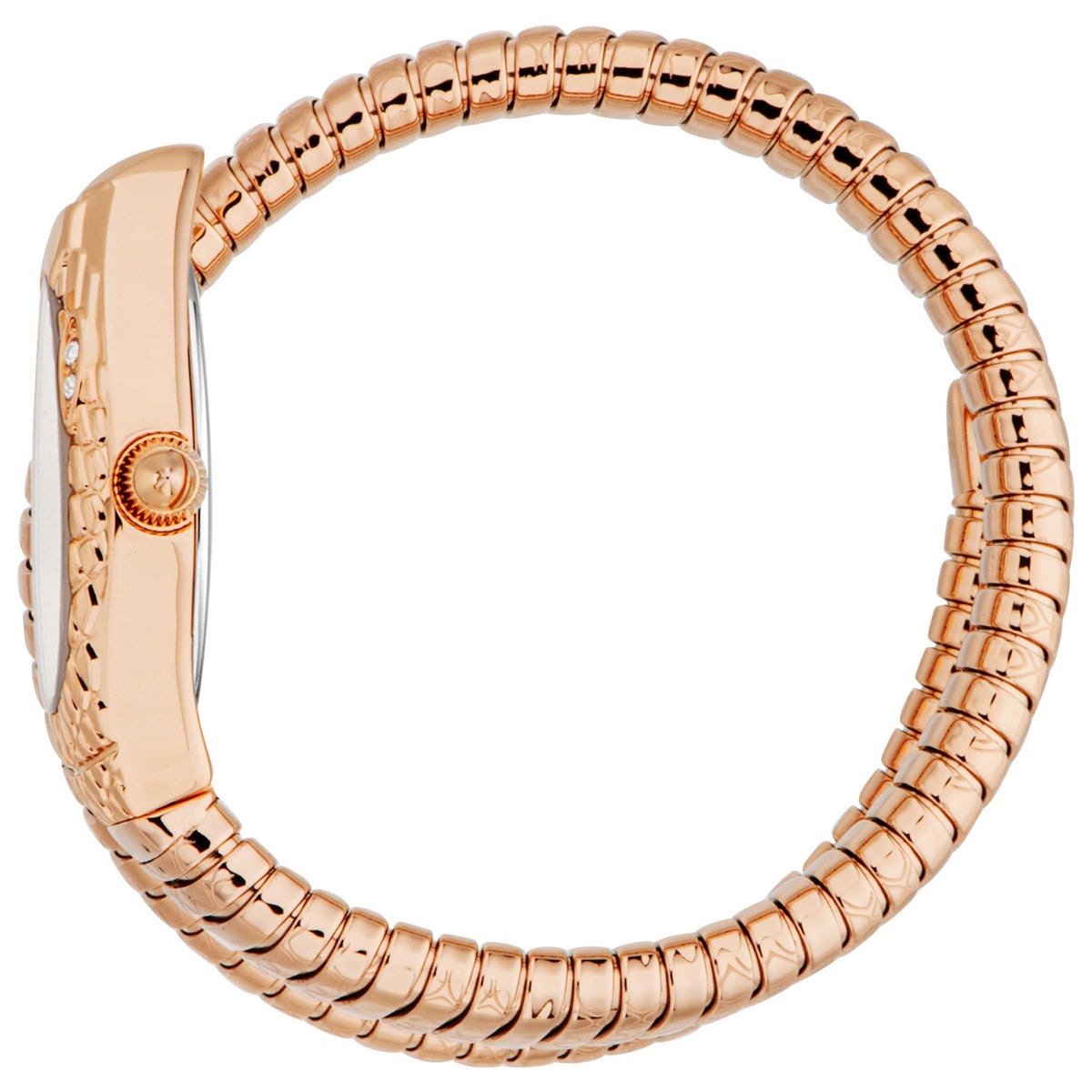 Just Cavalli Women's Watch JC1L373M1045