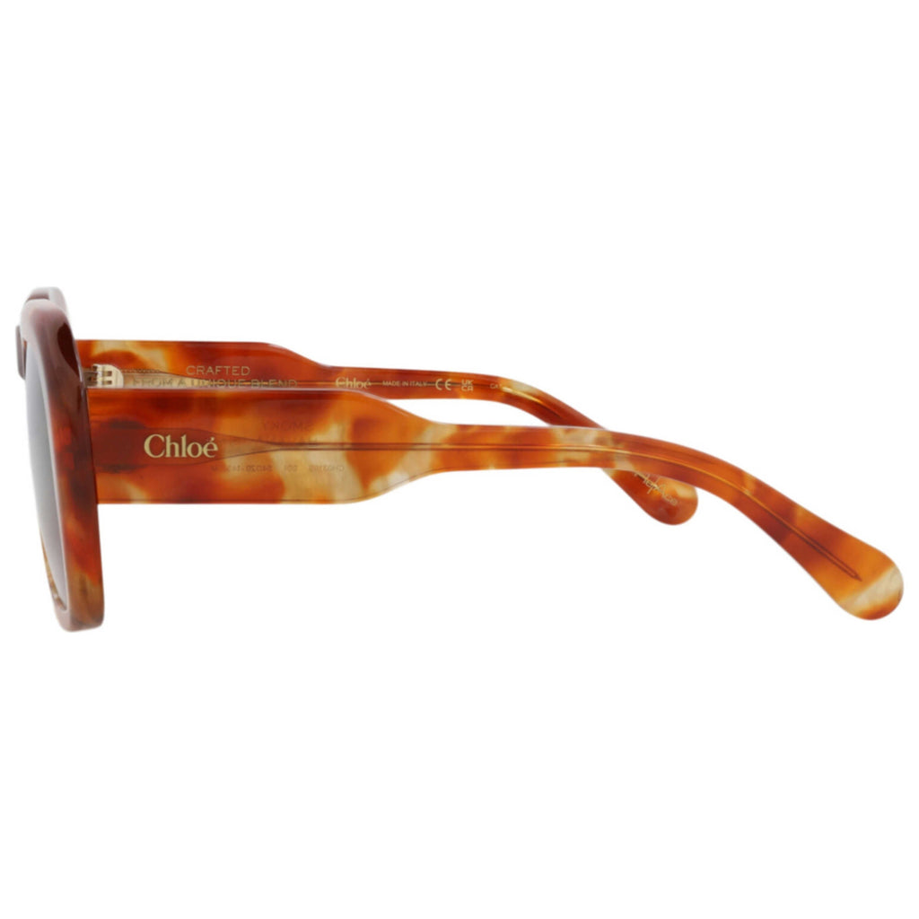 Chloe Women's Sunglasses CH0310S-30016294-004