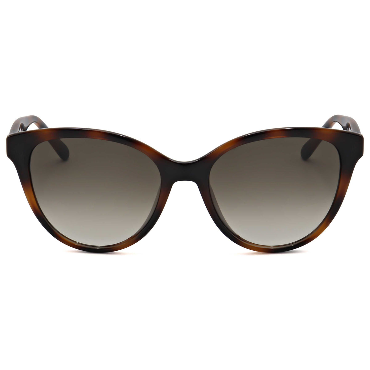 Ferragamo Fashion Women's Sunglasses SF1073S-240