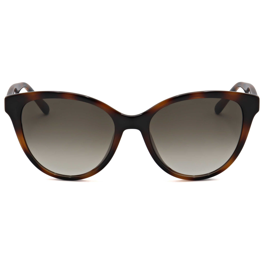 Ferragamo Fashion Women's Sunglasses SF1073S-240