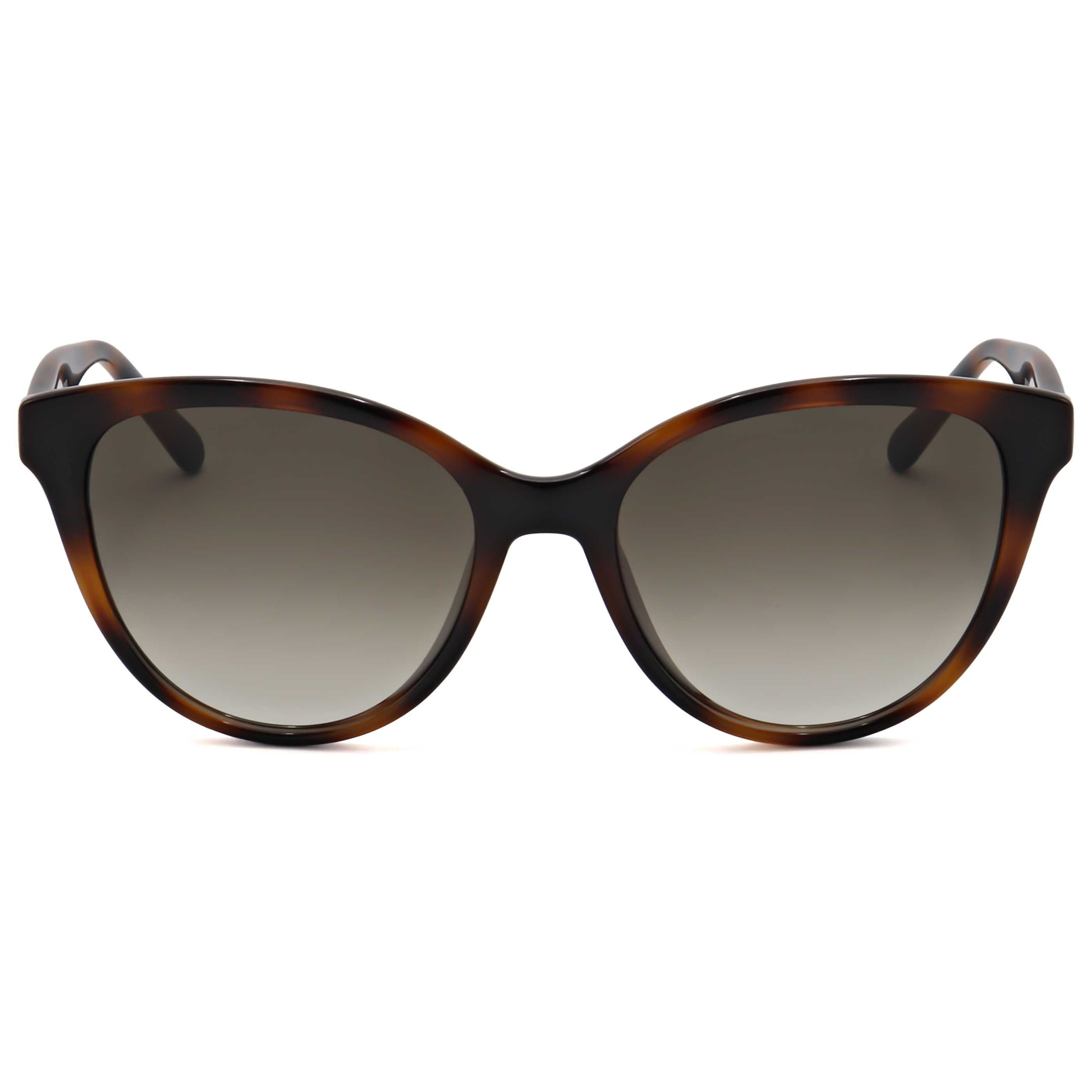 Ferragamo Fashion Women's Sunglasses SF1073S-240