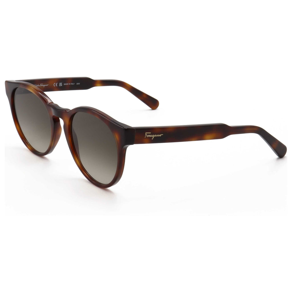 Ferragamo Fashion Women's Sunglasses SF1068S-240