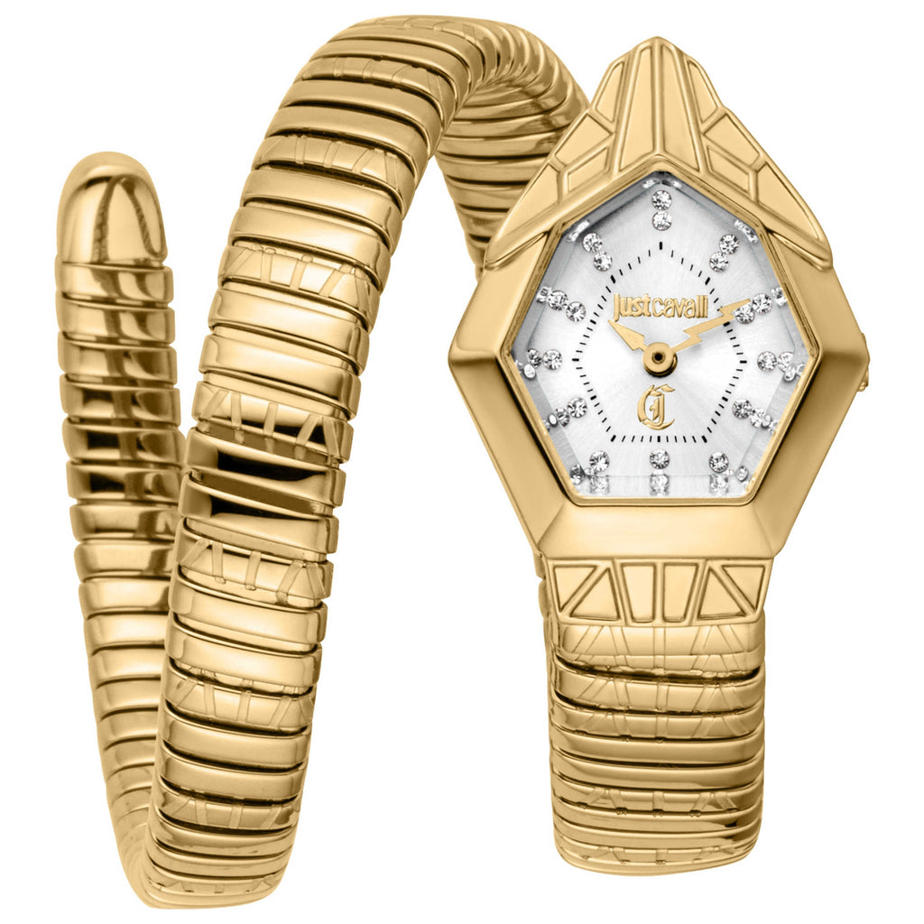 Just Cavalli Women's Watch JC1L358M0035
